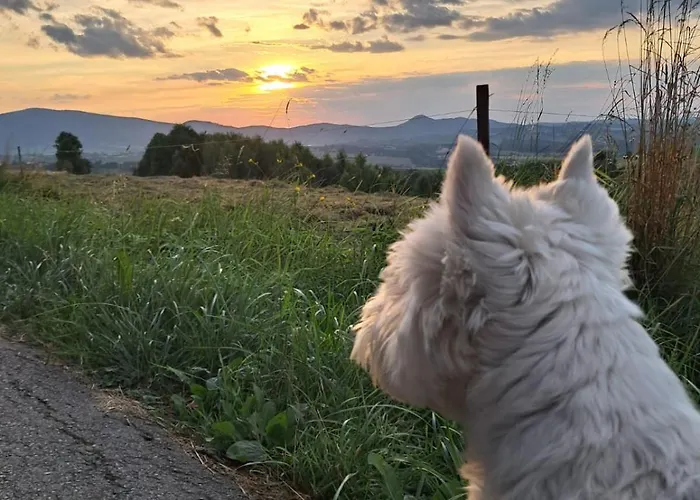 Gorska Otulina Villa