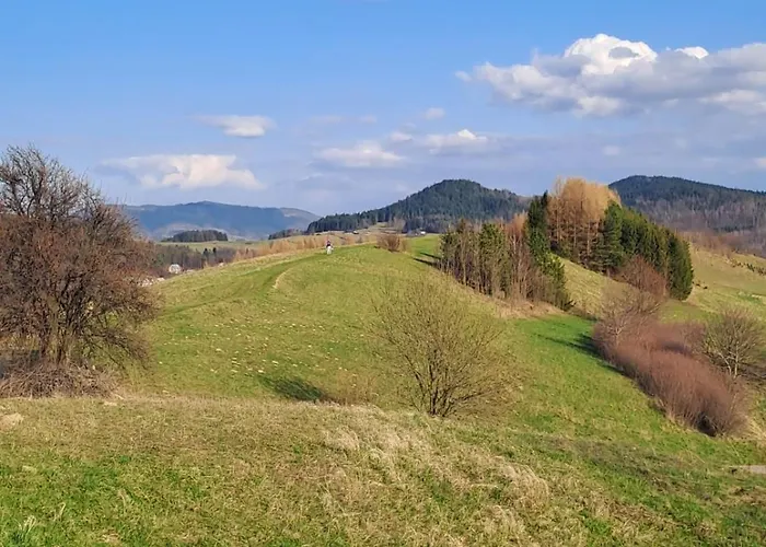 Gorska Otulina Villa *
